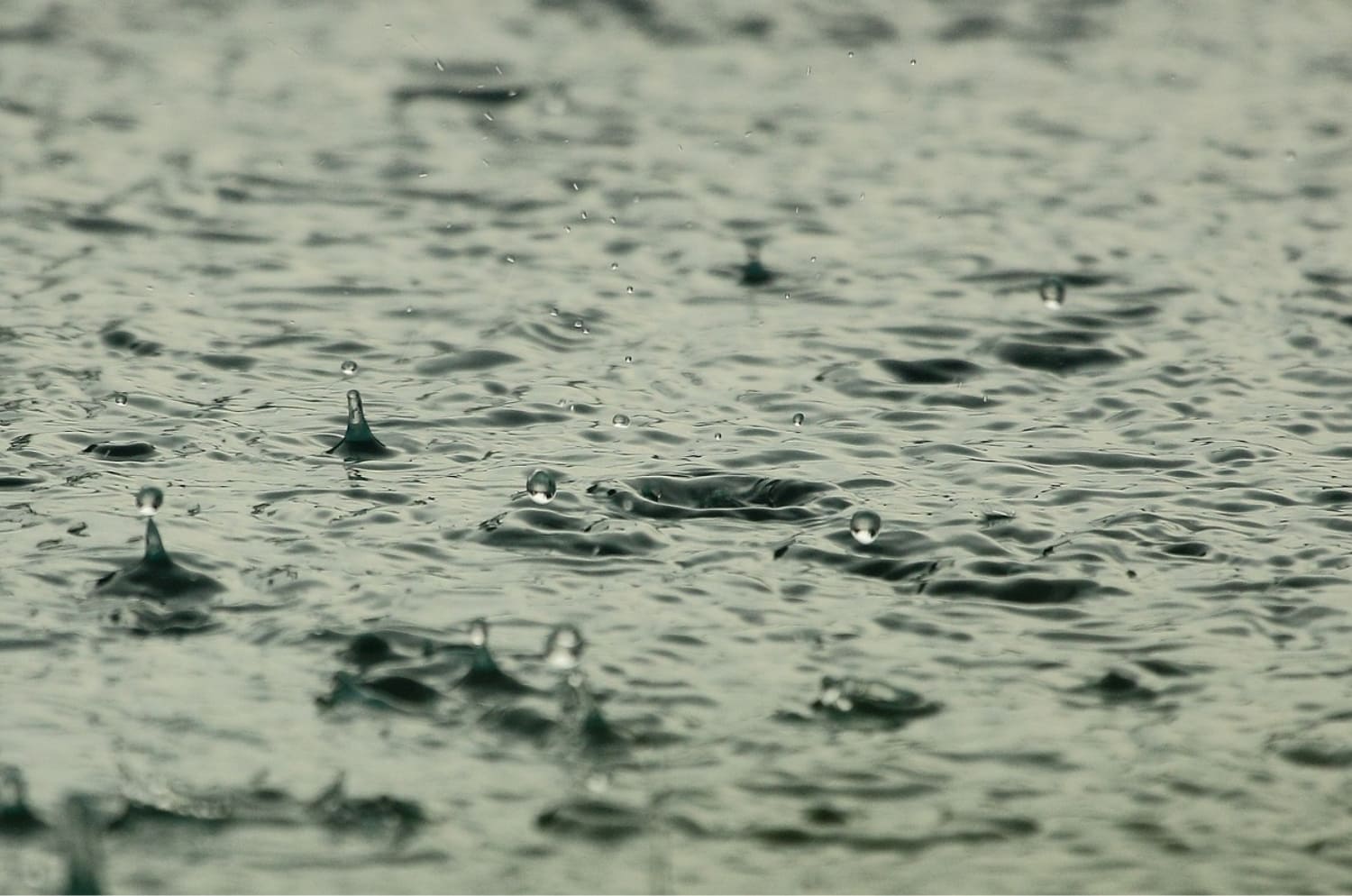 雨漏り