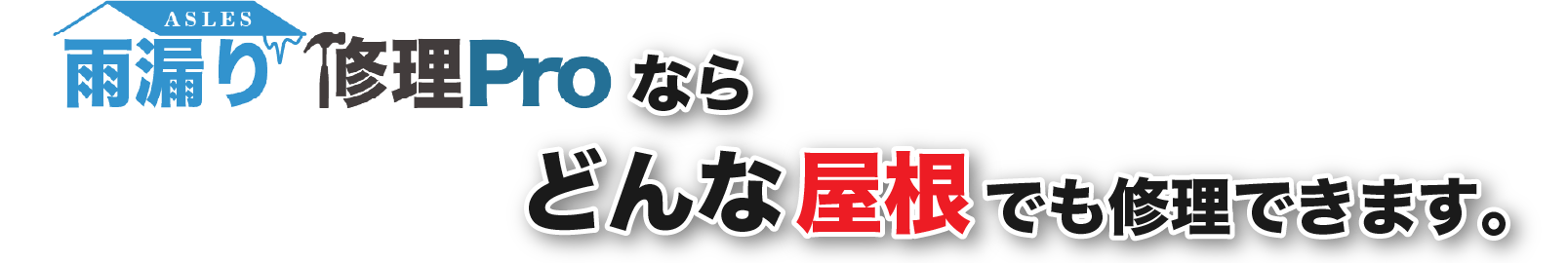 雨漏り修理プロならどんな屋根でも修理できます