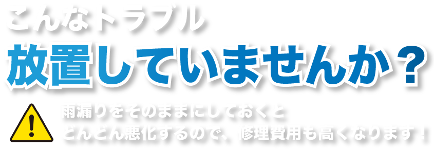 もちろん、屋根全体の修理も承ります。