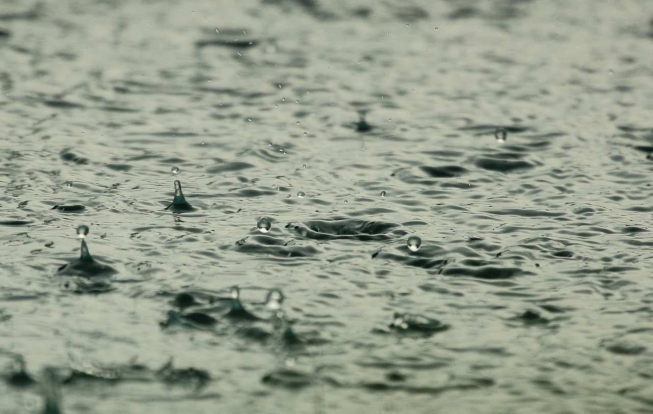 経年劣化の雨漏り被害は保険の対象外！火災保険の適用条件とは？