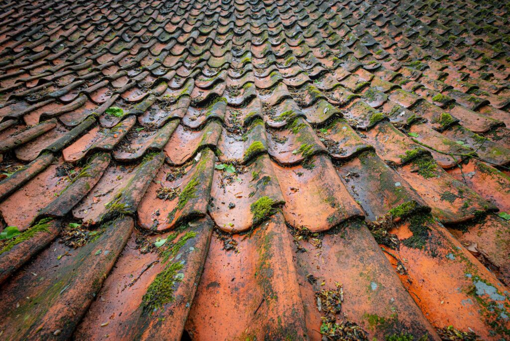 https://pixabay.com/photos/roof-tiling-aged-old-vintage-roof-6285962/