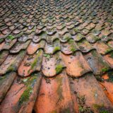 https://pixabay.com/photos/roof-tiling-aged-old-vintage-roof-6285962/